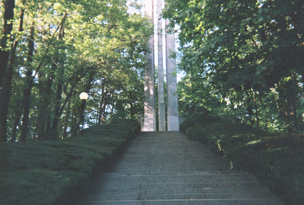Outdoor stairs surrounded by trees on either side going up to a large structure