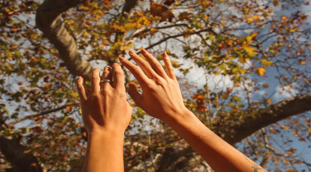 Hands in front of a tree