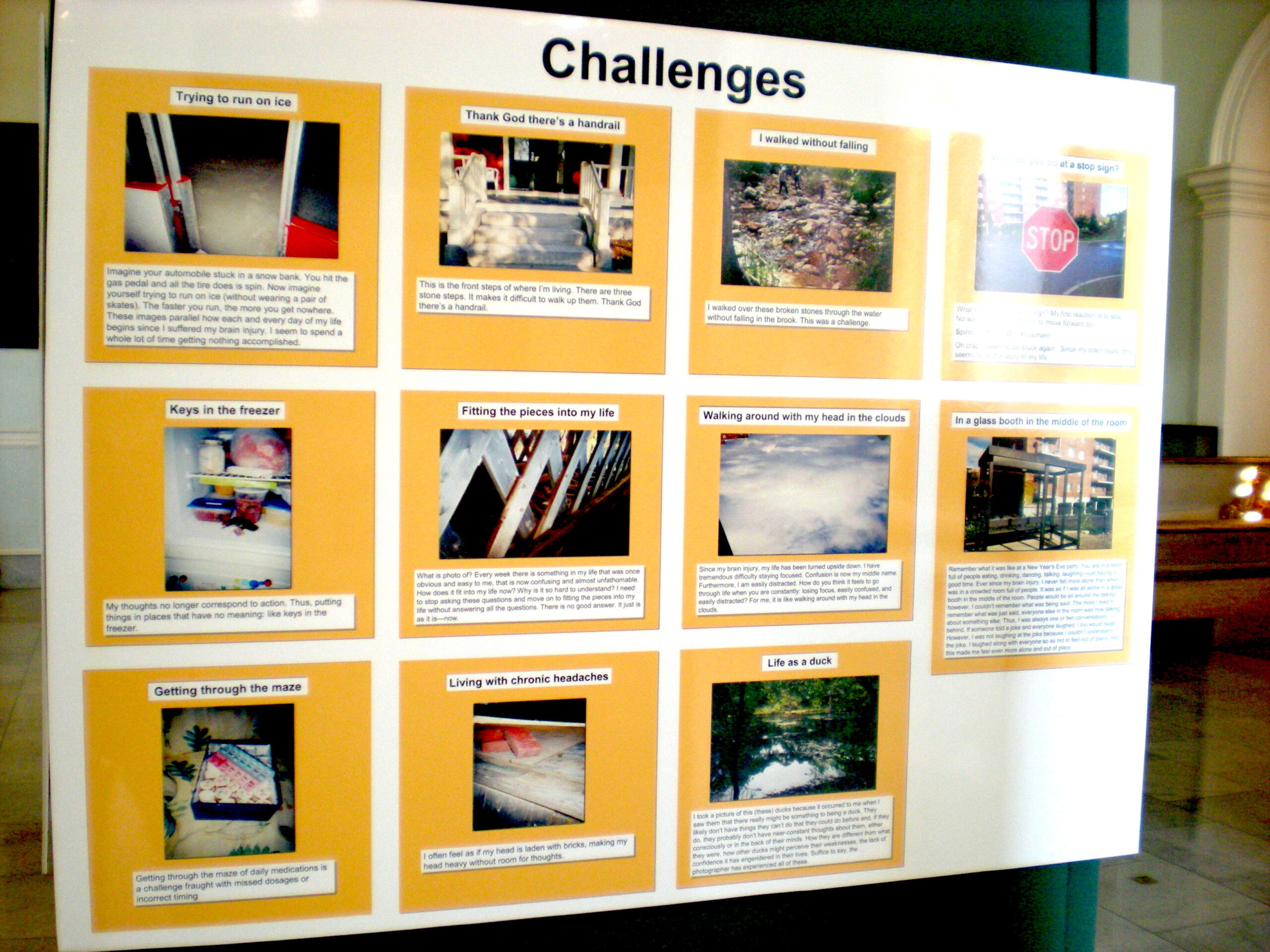 A poster with images and captions from a past photovoice project.