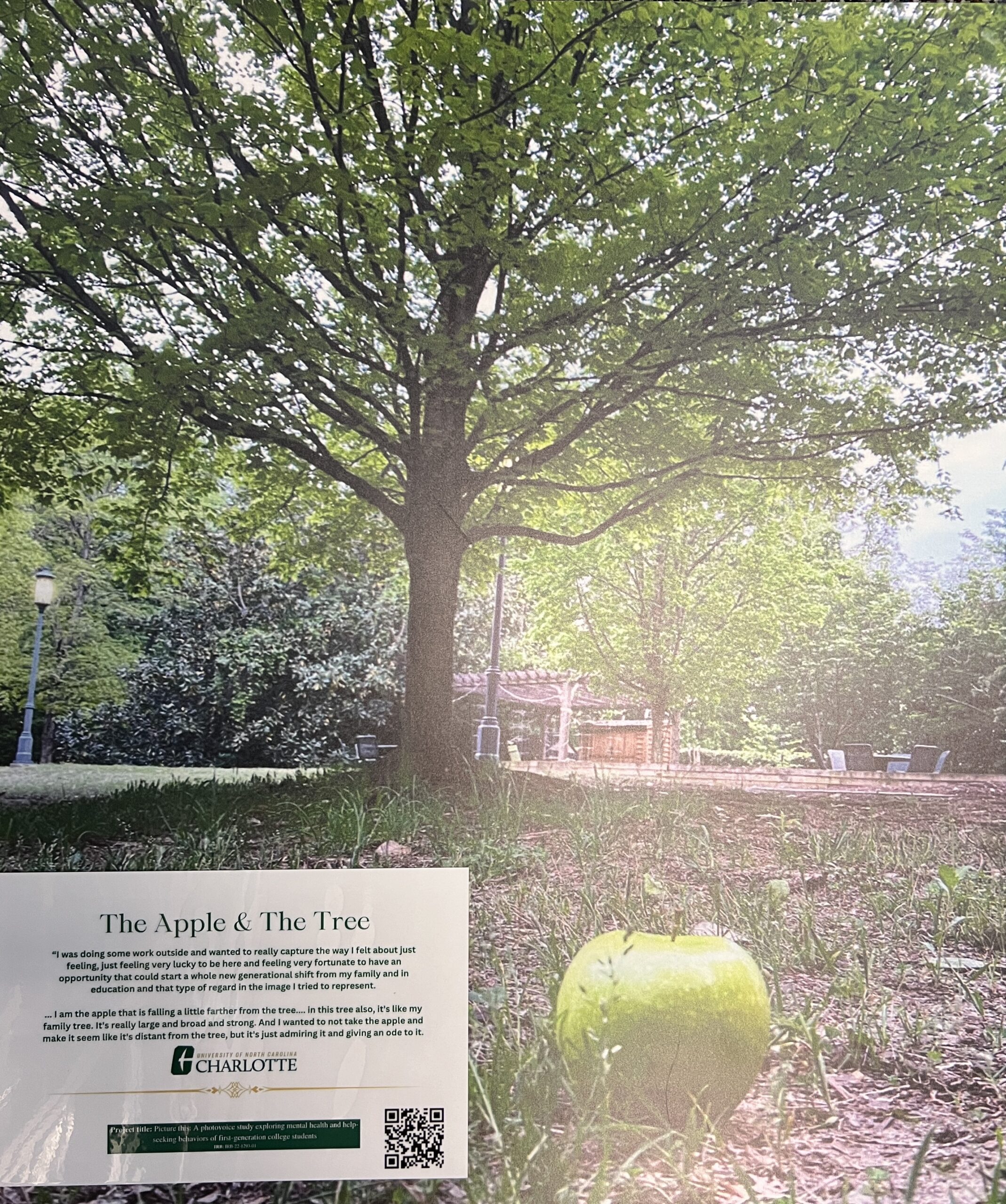 Sign next to an apple in front of a tree