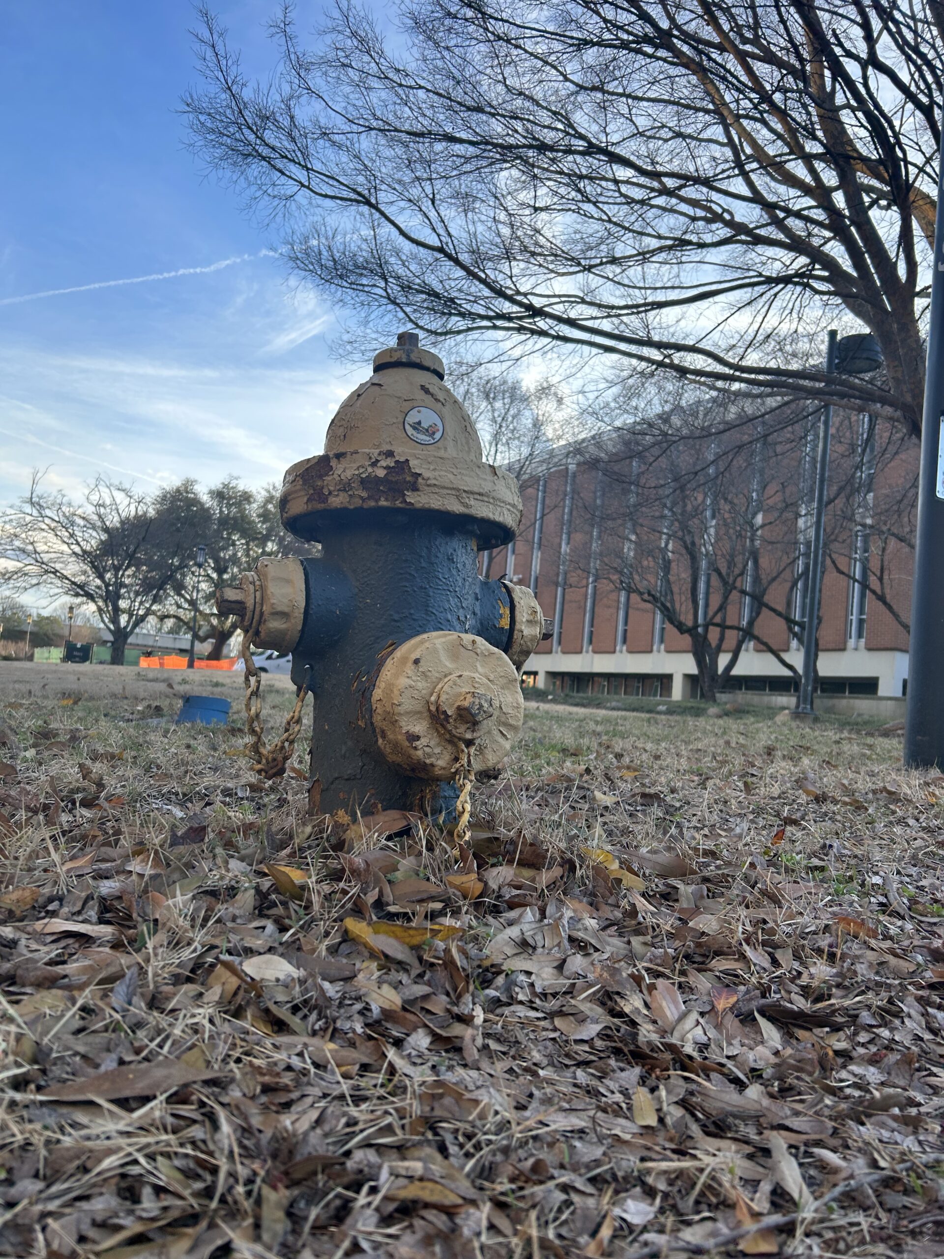 Blue and yellow worn out fire hydrant in front of a building  