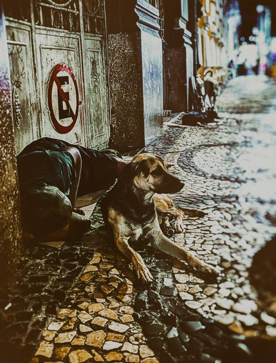 A person and dog laying beside on older building on the street 