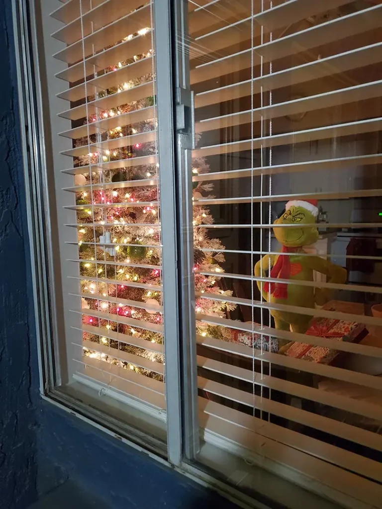 Looking through window at white christmas tree and grinch Perspective Is Everything ...People can change when someone believes in them... Photographer: Edith-Abrazar, UCI, PVWW- Educate,Embrace,Empower, 2023