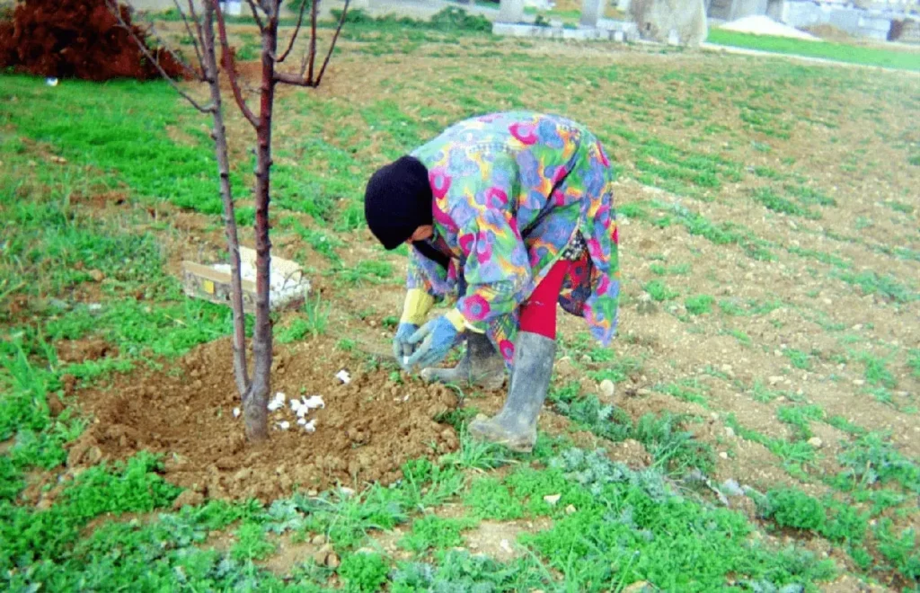 Person in a grassy field bending down in front of a tree, looking at something in the dirt Strength Source: Zahraa Abu Eid
